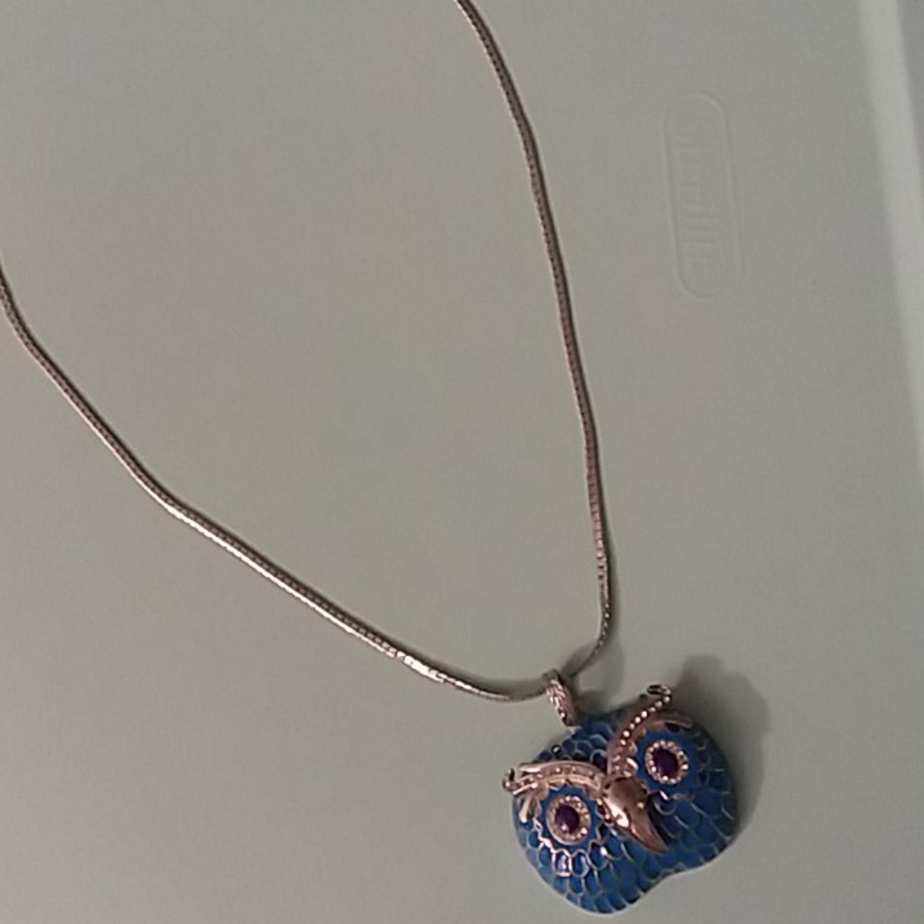 Owl Necklace 14$